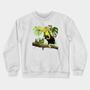 Toucan Tropical Forest Explorer Crewneck Sweatshirt